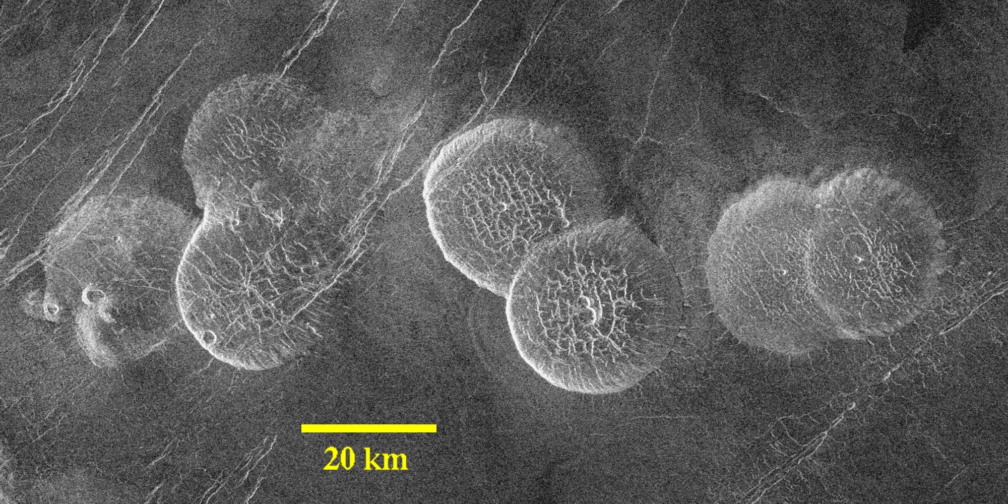 Mosaico de radar de la superficie de Venus mostrando varios volcanes panqueque de contorno circular y superficie rugosa