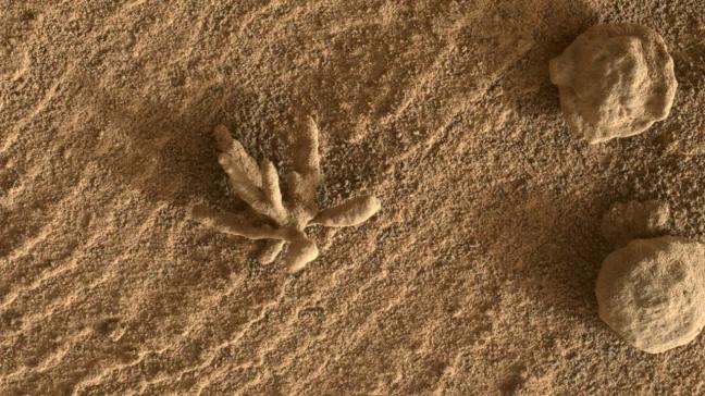 Formación rocosa con forma de flor observada por Curiosity en febrero de 2022