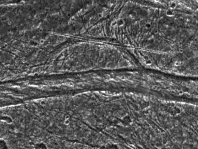 Estructuras tectónicas complejas en la zona de transición entre Marius Regio y Nippur Sulcus en Ganímedes