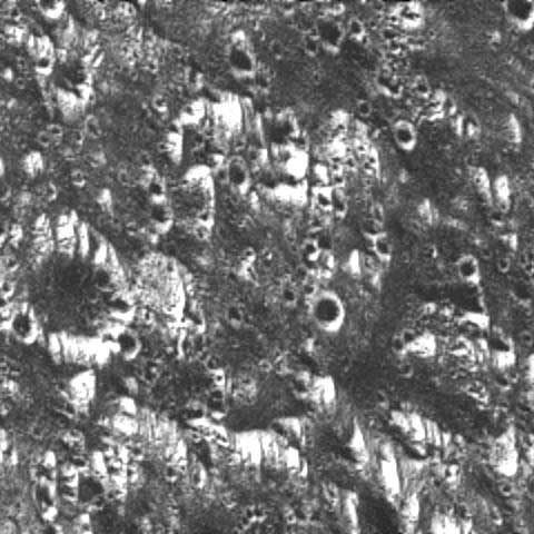 Terreno oscuro con cráteres degradados en Galileo Regio en Ganímedes